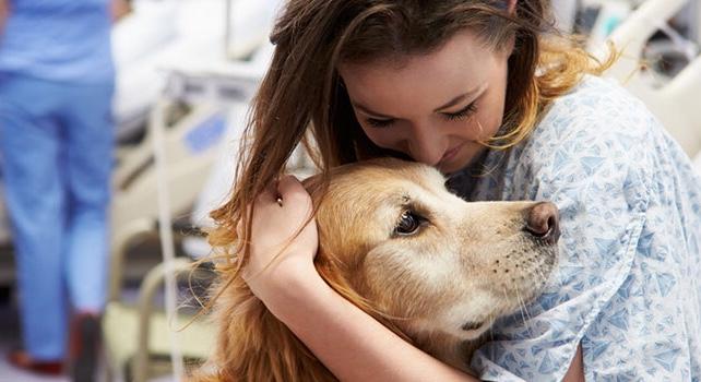 Podemos receber a visita de nossos animais domésticos no hospital?